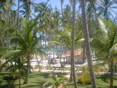 Palmenstrand vom Carabela Beach Resort