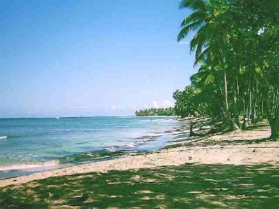 Strand Las Terrenas 