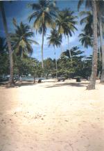 Strand Punta Poppy Las Terrenas