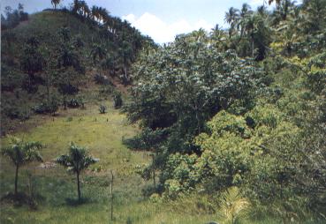 Die Landschaft um El Limon