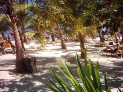 Iberostar Bavaro